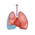 Pleural effusion. Excess fluid in the lungs.